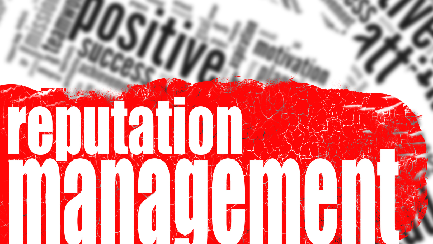 Unlocking Revenue Streams with Reputation Management Services