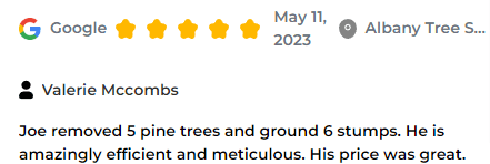 review eagle example live stream review on your website