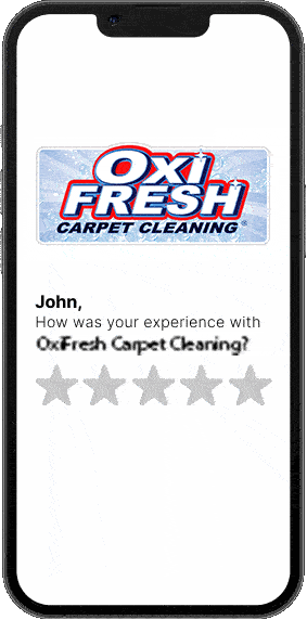 Review Eagle Automatic 30 Second 5-Star Review Process